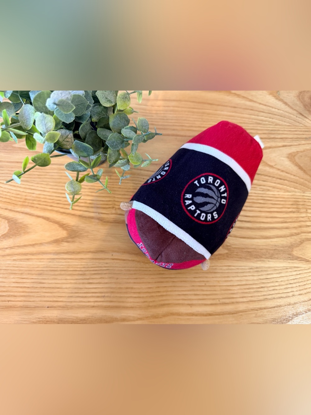 🌿10/$25 • Toronto Raptors Tsum Tsum Zamboni plush